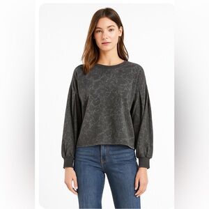 NWT Z Supply Ulla Wildcat Pullover Sweatshirt Top M Dark Gray Blouson Sleeve